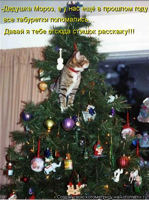 -Дедушка Мороз, а у нас ещё в прошлом году все табуретки поломались... Давай я тебе отсюда стишок рас... Котоматрица: -Дедушка Мороз, а у нас ещё в прошлом году все табуретки поломались... Давай я тебе отсюда стишок расскажу!!!