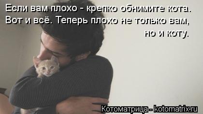Статус только мы с котом Статус только мы с котом