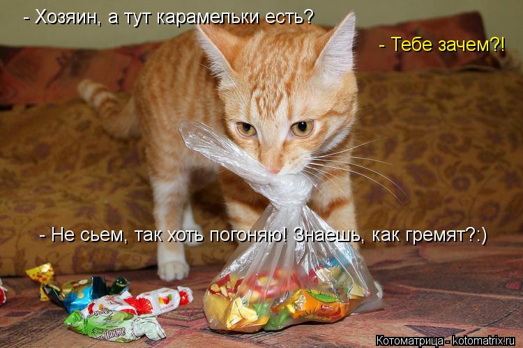 - Хозяин, а тут карамельки есть? - Тебе зачем?! - Не сьем, так хоть погоняю! Знаешь, как гремят?:)... Котоматрица: - Хозяин, а тут карамельки есть? - Тебе зачем?! - Не сьем, так хоть погоняю! Знаешь, как гремят?:)