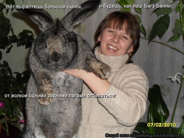 Вот вырастешь большой,сынок, -и будешь, как наш Багз Банни, и будешь, как наш Багз Банни, от волков о... Котоматрица: Вот вырастешь большой,сынок, -и будешь, как наш Багз Банни, и будешь, как наш Багз Банни, от волков одними задними лапами отбиваться! от волко