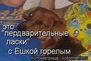 это "пердварительные ласки" с Ёшкой горелым... Котоматрица: это "пердварительные ласки" с Ёшкой горелым