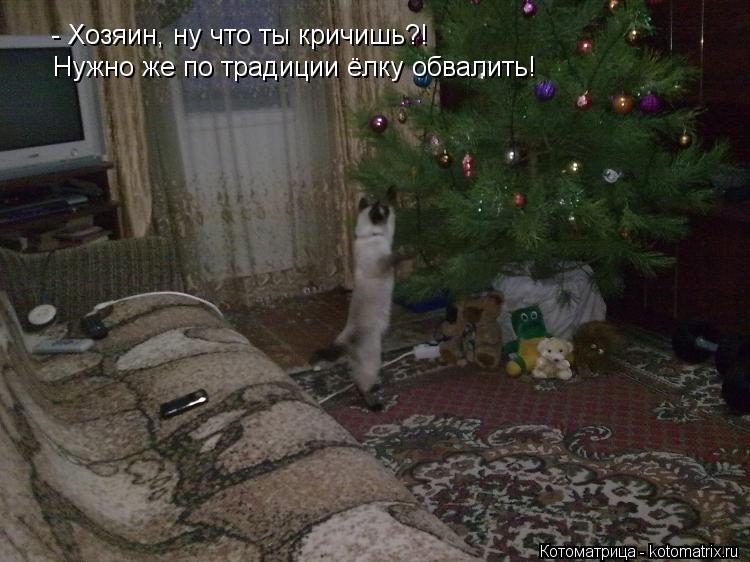 Котоматрица: - Хозяин, ну что ты кричишь?! Нужно же по традиции ёлку обвалить!