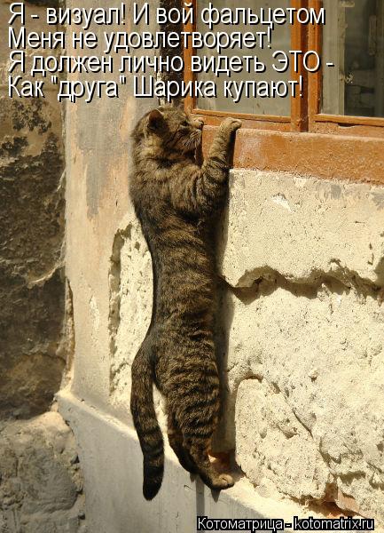 Я - визуал! И вой фальцетом Меня не удовлетворяет! Я должен лично видеть ЭТО - Как "друга" Шарика куп... Котоматрица: Я - визуал! И вой фальцетом Меня не удовлетворяет! Я должен лично видеть ЭТО - Как "друга" Шарика купают!