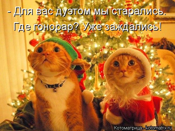 - Для вас дуэтом мы старались. Где гонорар? Уже заждались!... Котоматрица: - Для вас дуэтом мы старались. Где гонорар? Уже заждались!