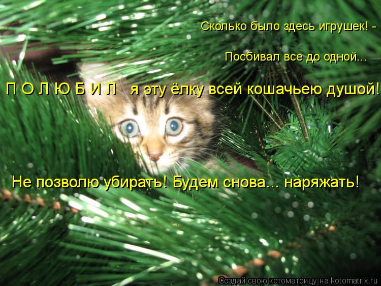 Котоматрица: П О Л Ю Б И Л   я эту ёлку всей кошачьею душой! Не позволю убирать! Будем снова... наряжать! Посбивал все до одной... Сколько было здесь игрушек! -