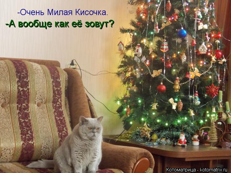 Котоматрица: -Очень Милая Кисочка. -А вообще как её зовут?