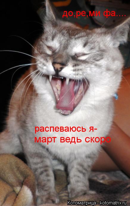 распеваюсь я- март ведь скоро до,ре,ми фа....... Котоматрица: распеваюсь я- март ведь скоро до,ре,ми фа....