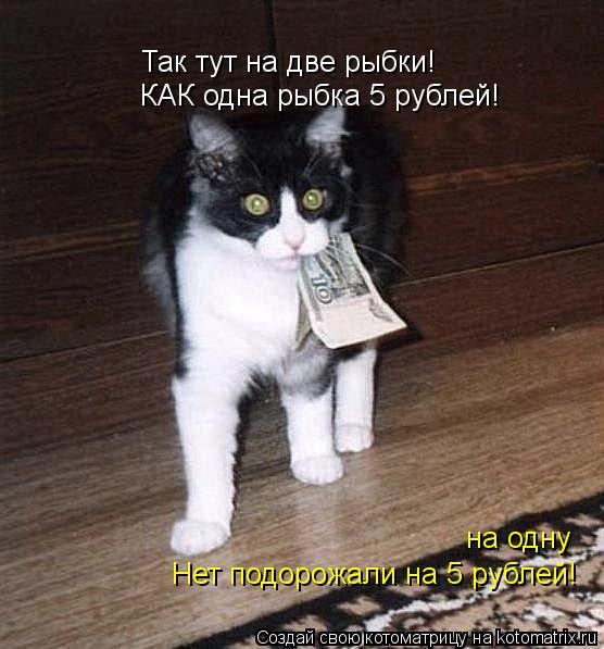 Так тут на две рыбки! на одну КАК одна рыбка 5 рублей! Нет подорожали на 5 рублей!... Котоматрица: Так тут на две рыбки! на одну КАК одна рыбка 5 рублей! Нет подорожали на 5 рублей!