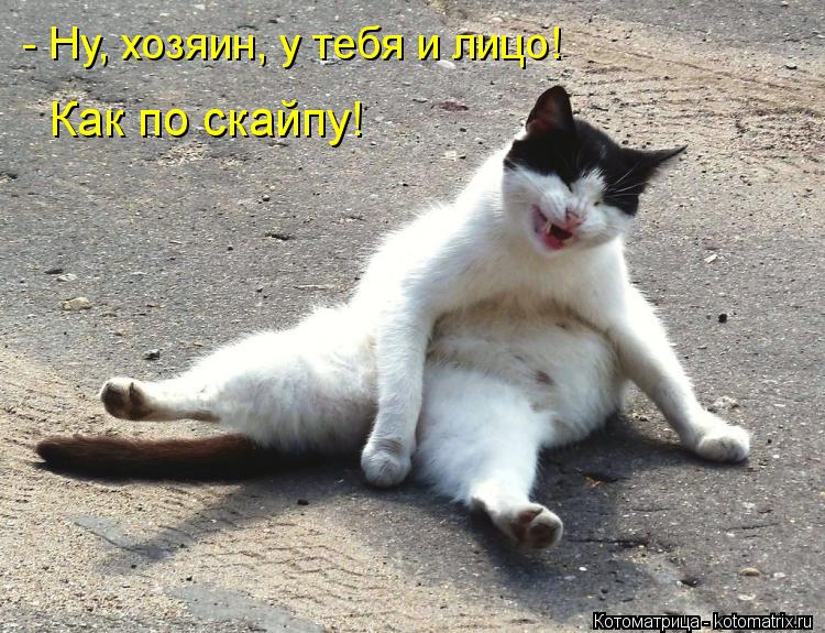 Котоматрица: - Ну, хозяин, у тебя и лицо! Как по скайпу!