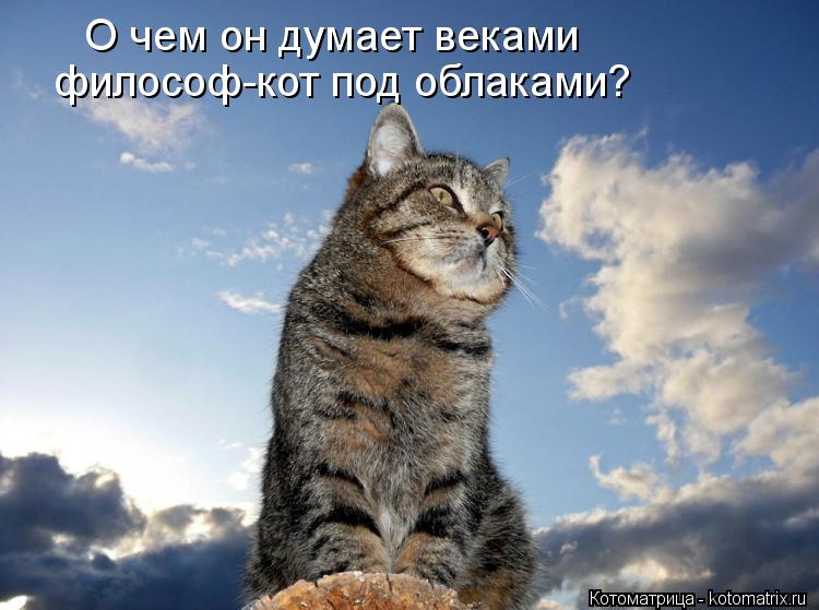 О чем он думает веками философ-кот под облаками?... Котоматрица: О чем он думает веками философ-кот под облаками?