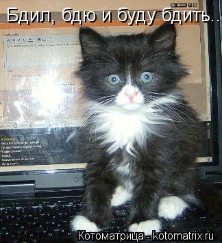 Бдил, бдю и буду бдить..... Котоматрица: Бдил, бдю и буду бдить..