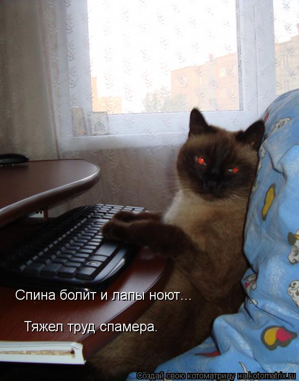 Котоматрица: Спина болит и лапы ноют… Тяжел труд спамера.