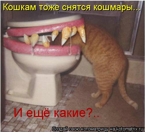 Кошкам тоже снятся кошмары... И ещё какие?..... Котоматрица: Кошкам тоже снятся кошмары... И ещё какие?..