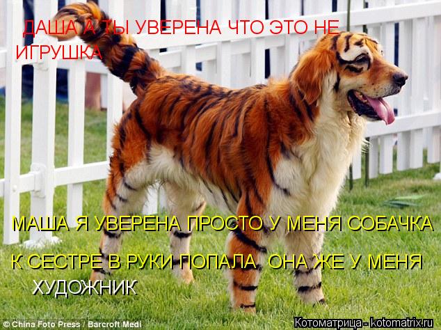 ДАША А ТЫ УВЕРЕНА ЧТО ЭТО НЕ ИГРУШКА МАША Я УВЕРЕНА ПРОСТО У МЕНЯ СОБАЧКА К СЕСТРЕ В РУКИ ПОПАЛА ОН... Котоматрица: ДАША А ТЫ УВЕРЕНА ЧТО ЭТО НЕ ИГРУШКА МАША Я УВЕРЕНА ПРОСТО У МЕНЯ СОБАЧКА К СЕСТРЕ В РУКИ ПОПАЛА ОНА ЖЕ У МЕНЯ ХУДОЖНИК