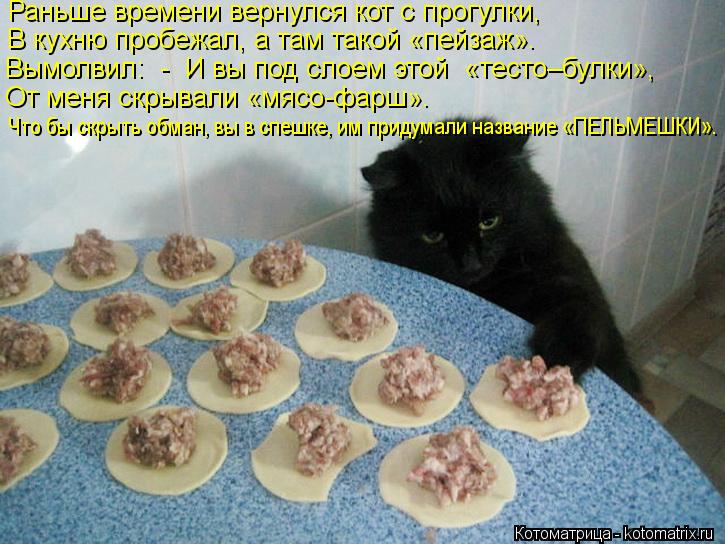 Раньше времени вернулся кот с прогулки, В кухню пробежал, а там такой «пейзаж». Вымолвил: - И вы по... Котоматрица: Раньше времени вернулся кот с прогулки, В кухню пробежал, а там такой «пейзаж». Вымолвил: - И вы под слоем этой «тесто–булки», От меня скрыв