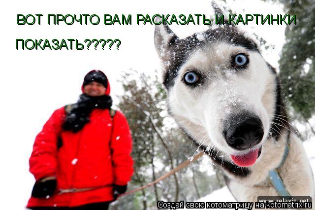 ВОТ ПРОЧТО ВАМ РАСКАЗАТЬ И КАРТИНКИ ПОКАЗАТЬ?????... Котоматрица: ВОТ ПРОЧТО ВАМ РАСКАЗАТЬ И КАРТИНКИ ПОКАЗАТЬ?????