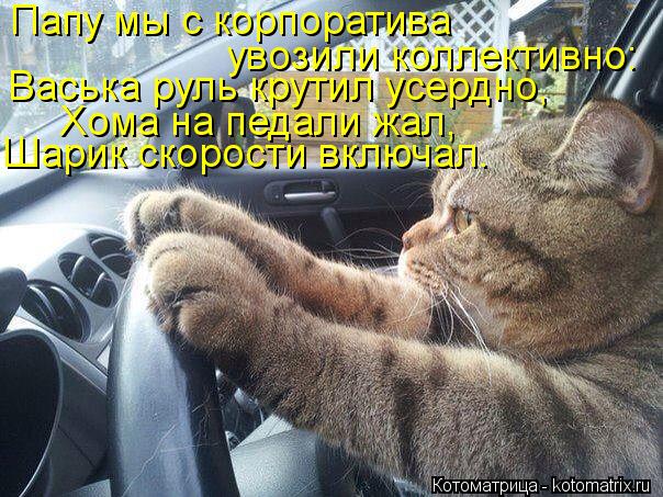 Папу мы с корпоратива увозили коллективно: Васька руль крутил усердно, Хома на педали жал, Шарик скор... Котоматрица: Папу мы с корпоратива увозили коллективно: Васька руль крутил усердно, Хома на педали жал, Шарик скорости включал.