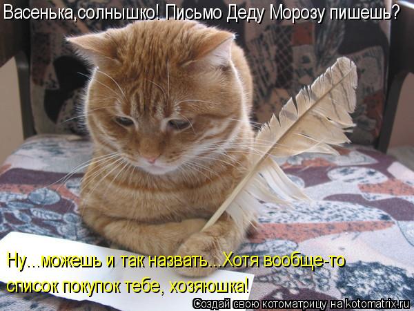 Котоматрица: Васенька,солнышко! Письмо Деду Морозу пишешь? Ну...можешь и так назвать...Хотя вообще-то список покупок тебе, хозяюшка!