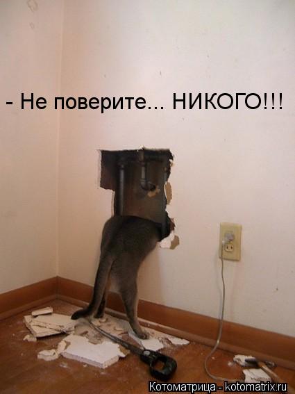 Котоматрица: - Не поверите... НИКОГО!!!