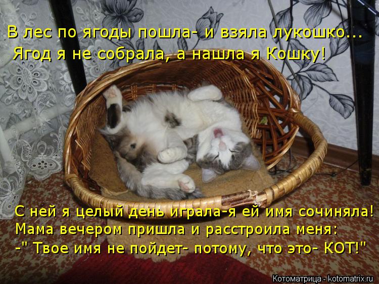 В лес по ягоды пошла- и взяла лукошко... Ягод я не собрала, а нашла я Кошку! С ней я целый день играл... Котоматрица: В лес по ягоды пошла- и взяла лукошко... Ягод я не собрала, а нашла я Кошку! С ней я целый день играла-я ей имя сочиняла! Мама вечером пришла и ра