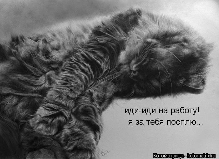 иди-иди на работу! я за тебя посплю...... Котоматрица: иди-иди на работу! я за тебя посплю...