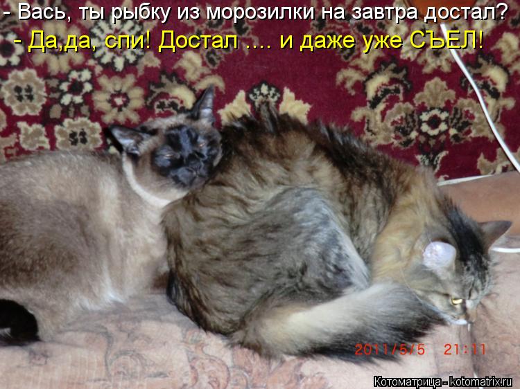 - Вась, ты рыбку из морозилки на завтра достал? - Да,да, спи! Достал .... и даже уже СЪЕЛ!... Котоматрица: - Вась, ты рыбку из морозилки на завтра достал? - Да,да, спи! Достал .... и даже уже СЪЕЛ!