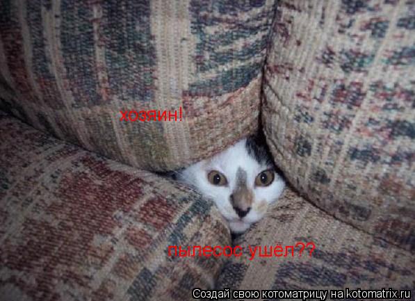 хозяин! пылесос ушёл??... Котоматрица: хозяин! пылесос ушёл??