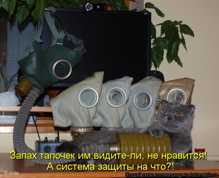 Запах тапочек им,видите-ли, не нравится! А система защиты на что?!... Котоматрица: Запах тапочек им,видите-ли, не нравится! А система защиты на что?!