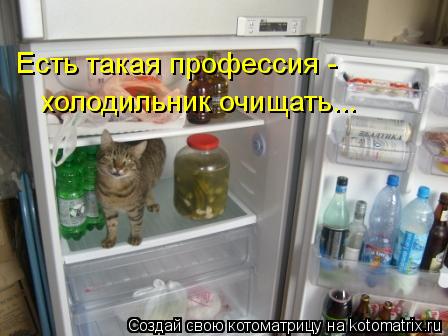 Есть такая профессия - холодильник очищать...... Котоматрица: Есть такая профессия - холодильник очищать...