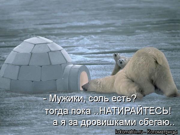 - Мужики, соль есть? тогда пока ..НАТИРАЙТЕСЬ! а я за дровишками сбегаю..... Котоматрица: - Мужики, соль есть? тогда пока ..НАТИРАЙТЕСЬ! а я за дровишками сбегаю..