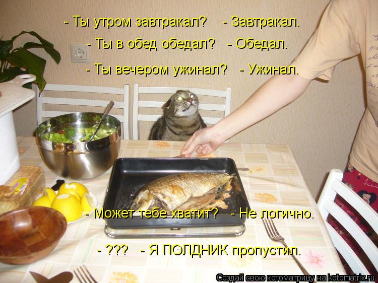 - Ты утром завтракал? - Завтракал. - Ты в обед обедал? - Обедал. - Ты вечером ужинал? - Ужинал... Котоматрица: - Ты утром завтракал? - Завтракал. - Ты в обед обедал? - Обедал. - Ты вечером ужинал? - Ужинал. - Может тебе хватит? - Не логично. - ??? - Я ПОЛДНИ