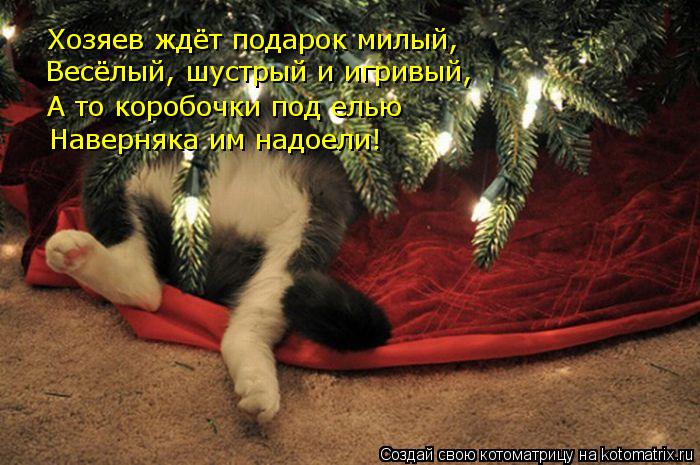 Хозяев ждёт подарок милый, Весёлый, шустрый и игривый, А то коробочки под елью Наверняка им надоели!... Котоматрица: Хозяев ждёт подарок милый, Весёлый, шустрый и игривый, А то коробочки под елью Наверняка им надоели!
