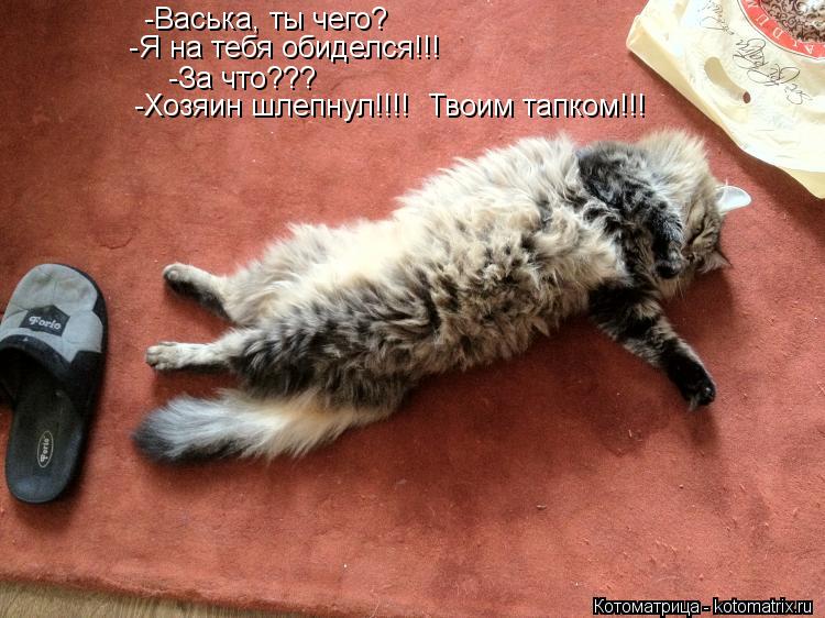 Котоматрица: -Васька, ты чего?  -Я на тебя обиделся!!!  -За что???  -Хозяин шлепнул!!!!  Твоим тапком!!!