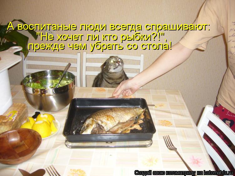 Котоматрица: А воспитаные люди всегда спрашивают: "Не хочет ли кто рыбки?!", прежде чем убрать со стола!