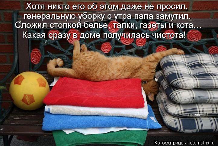Хотя никто его об этом даже не просил, генеральную уборку с утра папа замутил. Сложил стопкой белье, ... Котоматрица: Хотя никто его об этом даже не просил, генеральную уборку с утра папа замутил. Сложил стопкой белье, тапки, газеты и кота… Какая сразу в доме