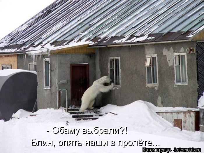 - Обаму выбрали?! Блин, опять наши в пролёте...... Котоматрица: - Обаму выбрали?! Блин, опять наши в пролёте...