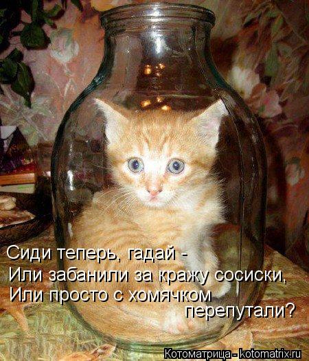 Котоматрица: Сиди теперь, гадай - Или забанили за кражу сосиски, Или просто с хомячком  перепутали?