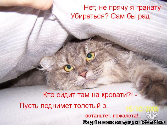 Котоматрица: Убираться? Сам бы рад! встаньте!. пожалста!.. Нет, не прячу я гранату!  Кто сидит там на кровати?! - Пусть поднимет толстый з...