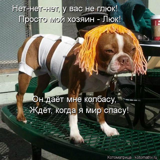 Котоматрица: Нет-нет-нет, у вас не глюк! Просто мой хозяин - Люк! Он даёт мне колбасу, Ждёт, когда я мир спасу!