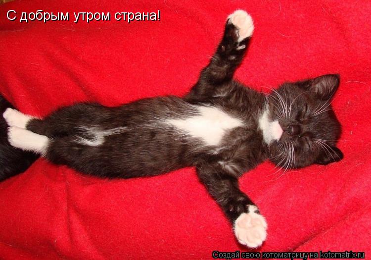С добрым утром страна!... Котоматрица: С добрым утром страна!