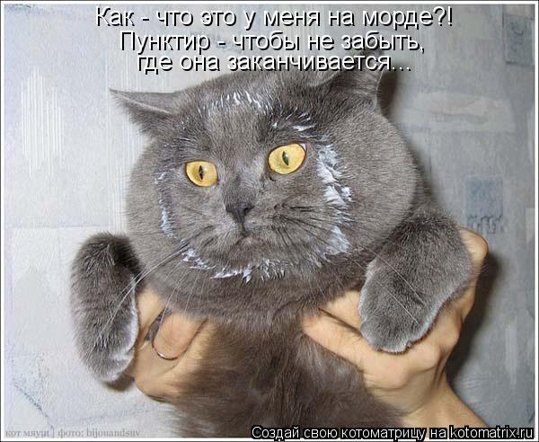 Пунктир - чтобы не забыть, где она заканчивается... Как - что это у меня на морде?!... Котоматрица: Пунктир - чтобы не забыть, где она заканчивается... Как - что это у меня на морде?!