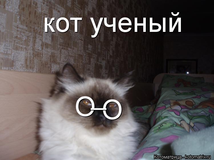 Котоматрица: O O _ кот ученый