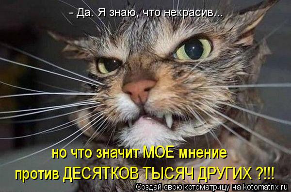 против ДЕСЯТКОВ ТЫСЯЧ ДРУГИХ ?!!! но что значит МОЕ мнение - Да. Я знаю, что некрасив...... Котоматрица: против ДЕСЯТКОВ ТЫСЯЧ ДРУГИХ ?!!! но что значит МОЕ мнение - Да. Я знаю, что некрасив...