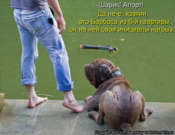 -Шарик! Апорт! -Да не-е, хозяин, это Барбоса из 6-й квартиры, он на ней свои инициалы нагрыз.... Котоматрица: -Шарик! Апорт! -Да не-е, хозяин, это Барбоса из 6-й квартиры, он на ней свои инициалы нагрыз.