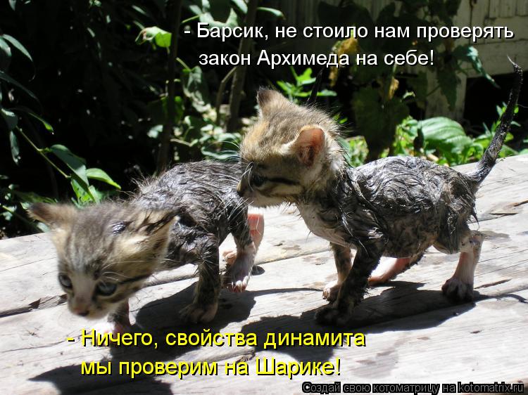 - Барсик, не стоило нам проверять закон Архимеда на себе! - Ничего, свойства динамита мы проверим на ... Котоматрица: - Барсик, не стоило нам проверять закон Архимеда на себе! - Ничего, свойства динамита мы проверим на Шарике!