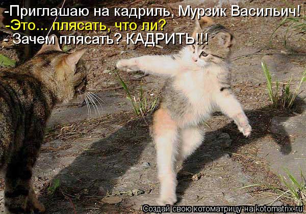 -Приглашаю на кадриль, Мурзик Васильич! -Это... плясать, что ли? - Зачем плясать? КАДРИТЬ!!!... Котоматрица: -Приглашаю на кадриль, Мурзик Васильич! -Это... плясать, что ли? - Зачем плясать? КАДРИТЬ!!!
