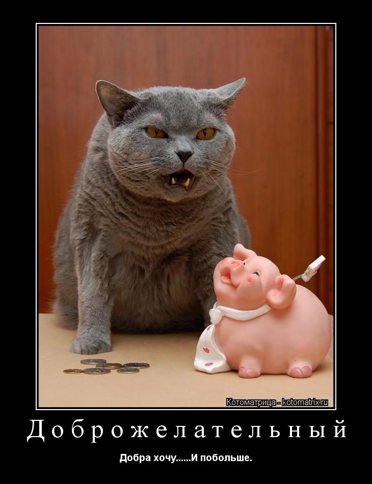 Котоматрица: Доброжелательный Добра хочу......И побольше.