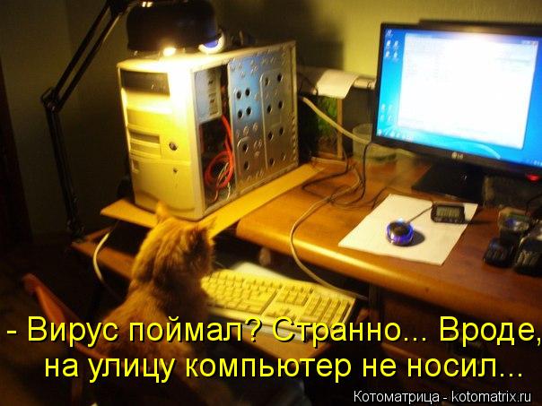 Что делать если телефон поймал вирус