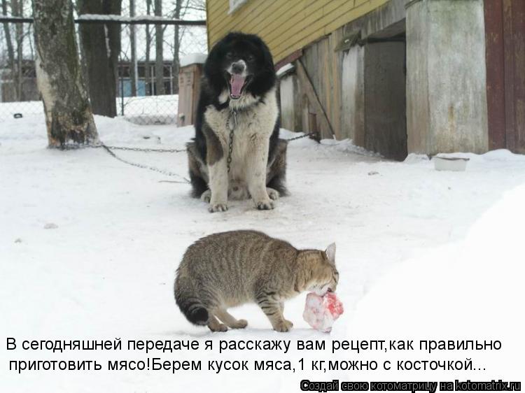 В сегодняшней передаче я расскажу вам рецепт,как правильно приготовить мясо!Берем кусок мяса,1 кг,мож... Котоматрица: В сегодняшней передаче я расскажу вам рецепт,как правильно приготовить мясо!Берем кусок мяса,1 кг,можно с косточкой...