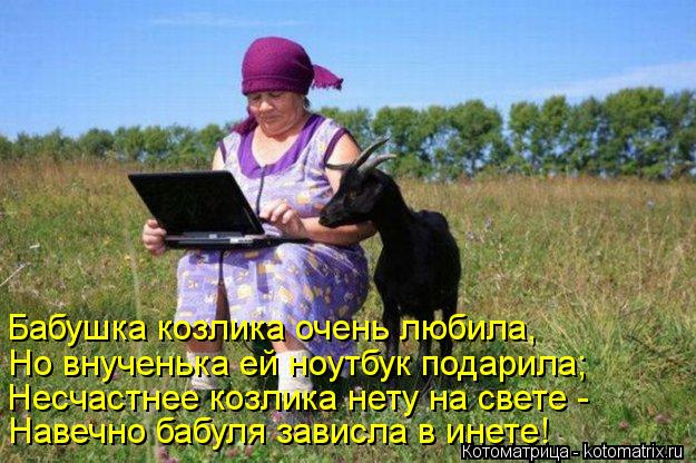 Котоматрица: Бабушка козлика очень любила, Но внученька ей ноутбук подарила; Несчастнее козлика нету на свете - Навечно бабуля зависла в инете!